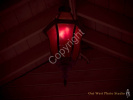 Red Light- #0951