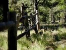 Mountain Fence- #2875