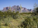 Superstition Mountain #desert1