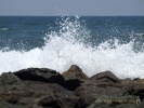 Ocean Spray- #01304_2